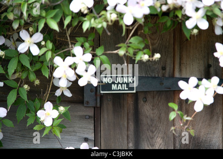 Keine Junk-Mail Stockfoto