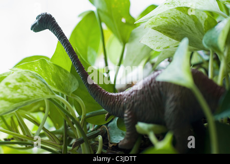 Figur der Dinosaurier unter den Blättern Stockfoto