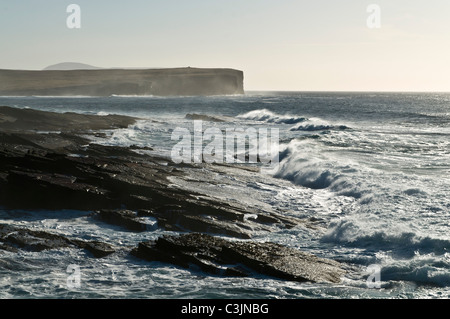 dh Bucht von Skaill SANDWICK ORKNEY West felsigen Küste der Orkney Surf Wellen an Land kommen Stockfoto