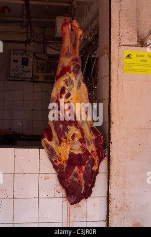 Bein von Rindfleisch in Calangute Markt Goa aufhängen. Stockfoto