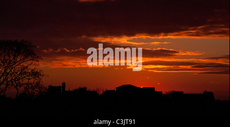 Der Trellick Tower von Primrose Hill bei Sonnenuntergang, London Stockfoto