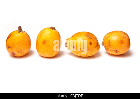 Biwa-japanische Mispel oder Loquat isoliert auf einem weißen Studio-Hintergrund. Stockfoto