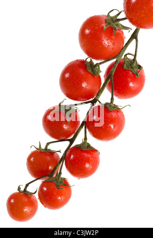 Zweig der Kirschtomaten isoliert auf weißem Hintergrund Stockfoto