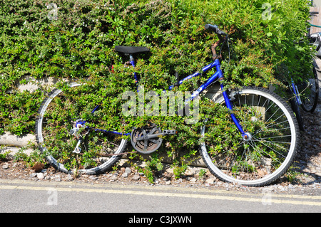 Aufgegeben von Fahrrad mit Vegetation Grwoing Rahmen, Seacourt Park & Ride, Oxford, Oxfordshire Stockfoto