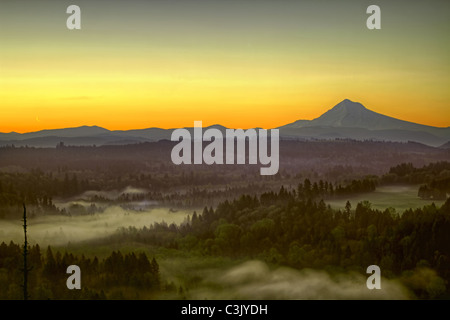 Sonnenaufgang über dem Mount Hood einen nebligen Morgen entlang Sandy River Bend Stockfoto