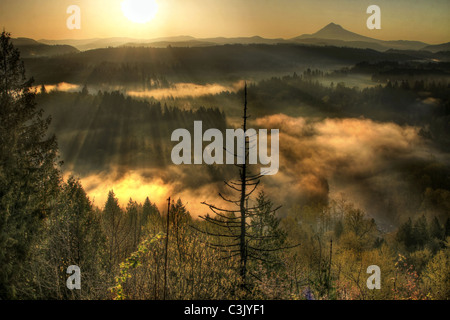 Sonnenaufgang über dem Mount Hood einen nebligen Morgen entlang Sandy River Bend 2 Stockfoto