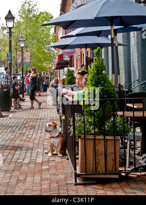 Eine Bulldogge schließt sich seinem Besitzer an einem Restauranttisch mit Outdoor-in der historischen "Old Town" Bezirk von Alexandria, Virginia. Stockfoto