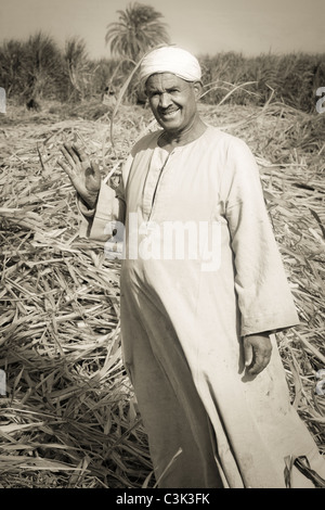 Sepia Porträt des ägyptischen Landarbeiter in einer geschnittenen Zuckerrohrfeld winken für Kamera, Ägypten, Afrika Stockfoto