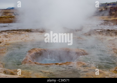 Haukadalur Geysir, Haukadalur, Island Stockfoto