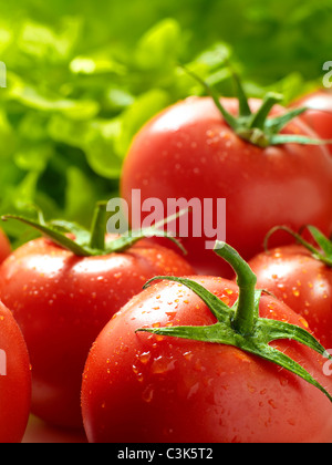 Reben gereifte Tomaten Stockfoto