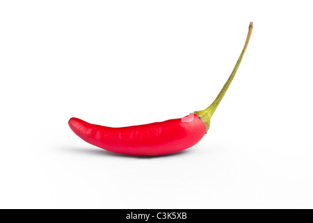 Chili-Pfeffer isoliert auf weiss (Clipping-Pfad angegeben in Jpeg) Stockfoto