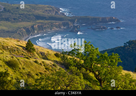 Eichen und grünen Hügeln im Frühjahr über den Ozean, Ventana-Wildnis, Los Padres National Forest, Big Sur Küste, California Stockfoto