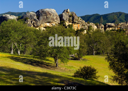 Eichen, grünen Hügeln und Felsvorsprung im Frühjahr, Ventana-Wildnis, Los Padres National Forest, Kalifornien Stockfoto