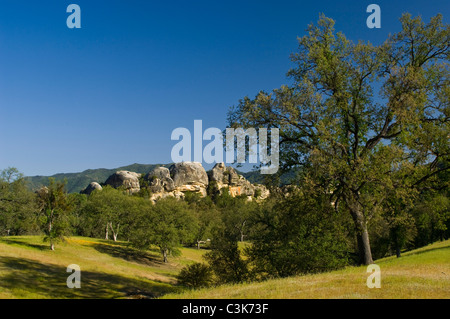 Eichen, grünen Hügeln und Felsvorsprung im Frühjahr, Ventana-Wildnis, Los Padres National Forest, Kalifornien Stockfoto