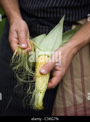 Hände, peeling Mais Maiskolben Stockfoto