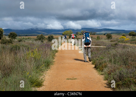 Wanderer auf dem Jakobsweg, Camino de Santiago, Nordspanien Stockfoto