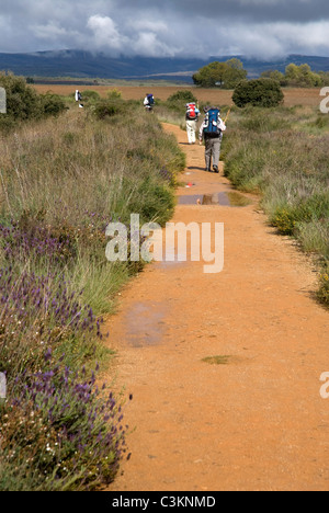 Wanderer auf dem Jakobsweg, Camino de Santiago, Nordspanien Stockfoto