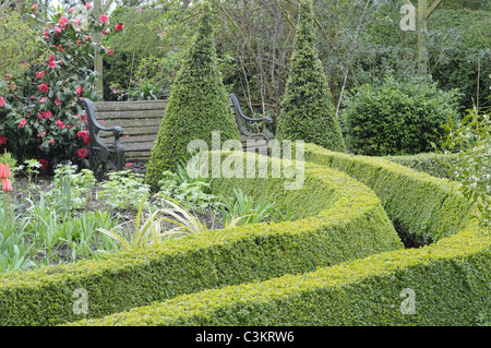 Weg zum Garten-Sitzplatz, Pfad, gesäumt von getrimmt Box Absicherung in einem Frühling Garten, UK, April Stockfoto