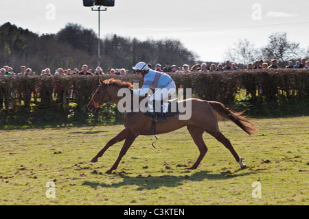 PFERD UND FRAU JOCKEY BEI PUNKT-ZU-PUNKT HOWICK CHEPSTOW WALES UK Stockfoto