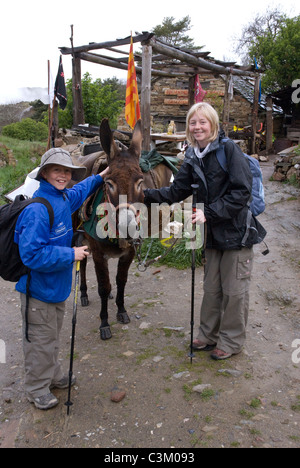 Ein Esel und Touristen auf dem Pilgerweg in Manjarin, Camino de Santiago, Nordspanien Stockfoto