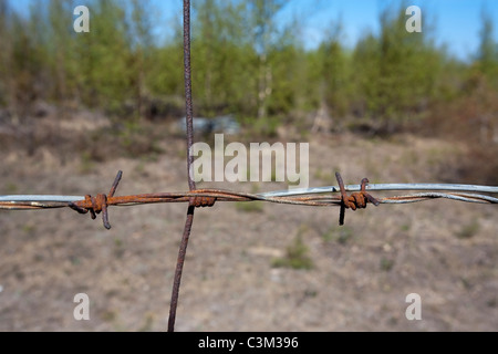 Rostiger Stacheldraht Stockfoto