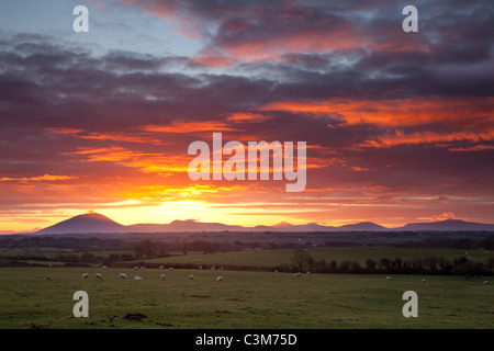 Sonnenuntergang über der Nephin Beg Berge, County Sligo, Irland. Stockfoto