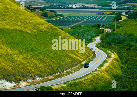 Land Straße Kurven durch grüne Hügel und Landwirtschaft-Tal ist der Frühling, in der Nähe von Lompoc, Santa Barbara County, Kalifornien Stockfoto