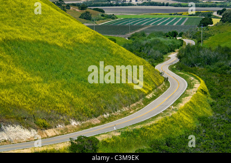 Land Straße Kurven durch grüne Hügel und Landwirtschaft-Tal ist der Frühling, in der Nähe von Lompoc, Santa Barbara County, Kalifornien Stockfoto