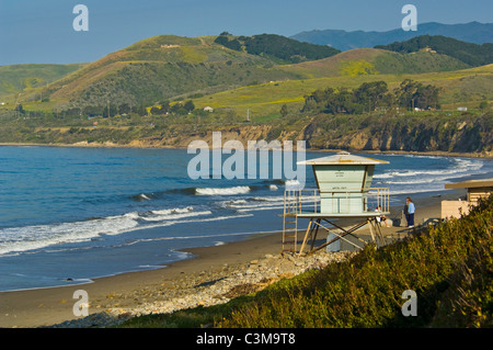 Grünen Hügeln im Frühjahr von El Capitan State Beach in der Nähe von Santa Barbara, Kalifornien Stockfoto