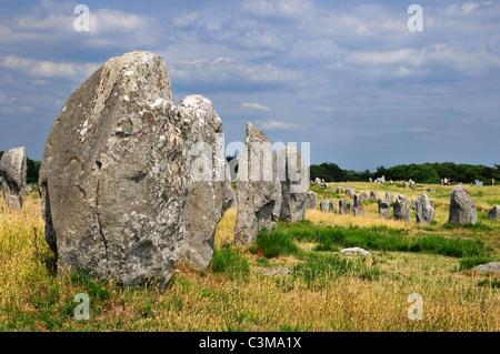 Berühmte Menhire in Carnac im Département Morbihan in der Bretagne im Nordwesten Frankreichs Stockfoto