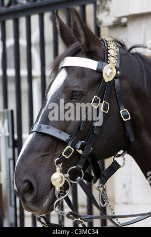 Pferd-Wachposten am Horseguards Parade ground Stockfoto