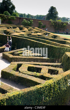Blenheim Palast Maze, Oxfordshire, England. Stockfoto