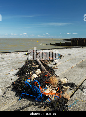 Algen und Müll an den hohen Gezeiten hinterlegt. Stockfoto