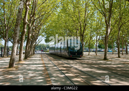 Eine Straßenbahn auf der Esplanade des Quinconces in der Stadt Bordeaux, Frankreich Europa EU Stockfoto