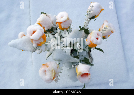 Eine Vase mit Blumen im Schnee Stockfoto