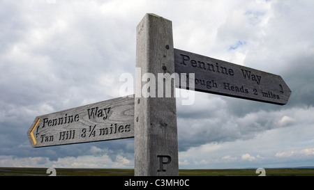 Ein Zeichen der Pennine Way post zwischen Tan Hill und den Trog Leitern, North Yorkshire, UK. Stockfoto