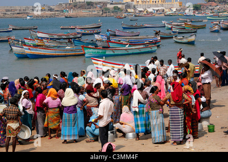 Indische Frauen versammeln sich um das Fischerboot bringt in seinen Fang in Vizhinjam Hafen in der Nähe von Kovalam, Kerala, Indien Stockfoto