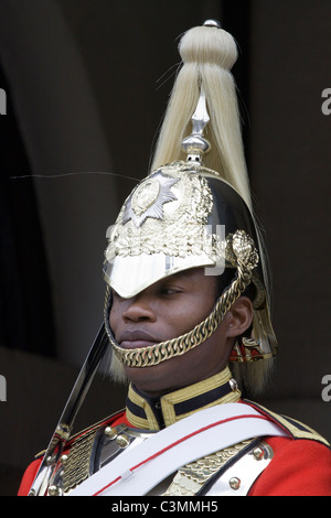Eines der Königin von England Pferde auf der Hut an der Horse Guards London England Stockfoto