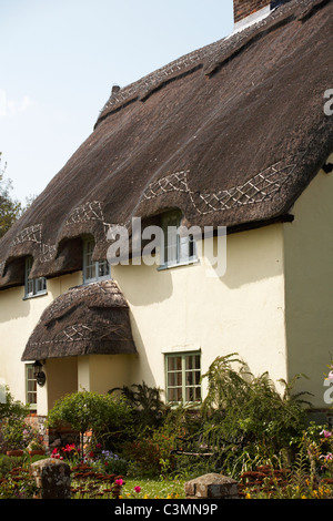 Gut Ferienhaus - charmante Reetdachhaus in Tarrant Monkton, Dorset im April Stockfoto