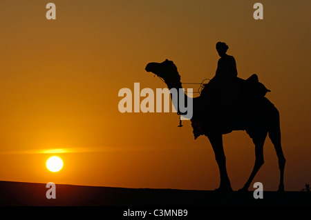 Dromedar, einen buckligen Kamel (Camelus Dromedarius). Reiter auf einem Dromedar in der Thar-Wüste Silhouette gegen die untergehende Sonne Stockfoto