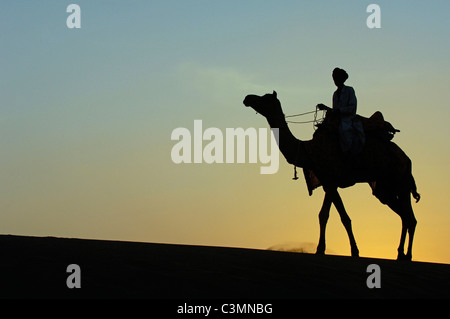 Dromedar, einen buckligen Kamel (Camelus Dromedarius). Reiter auf einem Dromedar in der Thar-Wüste Silhouette gegen die untergehende Sonne Stockfoto