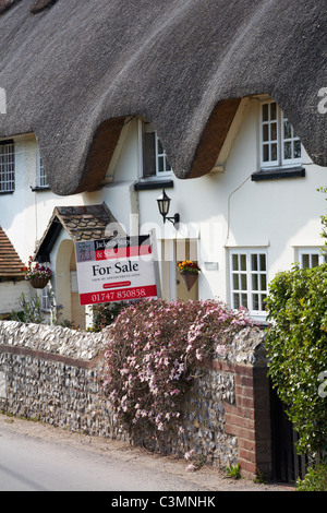 Wyndbrook Cottage - charmante Reetdachhaus in Tarrant Monkton, Dorset bis zum Verkauf im April Stockfoto