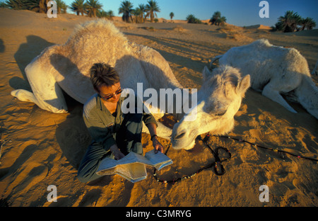 Algerien, westlichen Sandsea (Grand Erg Occidental) Saoura Tal Sahara Wüste touristischen Blick auf Karte mit Kamel Stockfoto