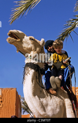 Algerien. Tamanrasset. Wüste Sahara. Junge und Mann der Tuareg Stamm auf Kamel. Stockfoto