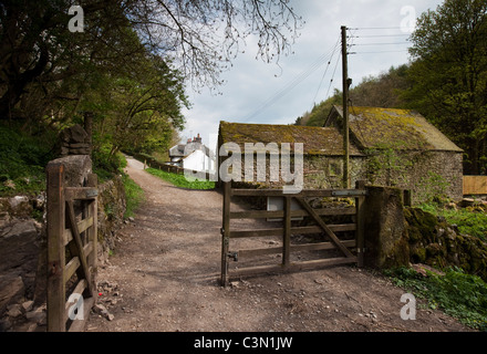 Lathkilldale Lehrpfad in der weißen Peak District Derbyshire Stockfoto