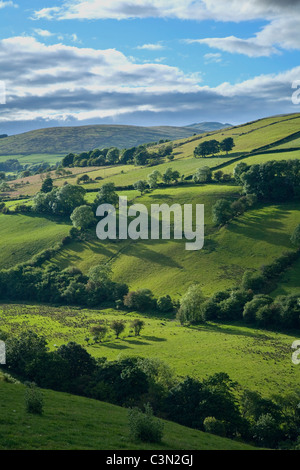 Sommer-Felder im Glenelly Tal, Sperrin Mountains, Grafschaft Tyrone, Nordirland. Stockfoto