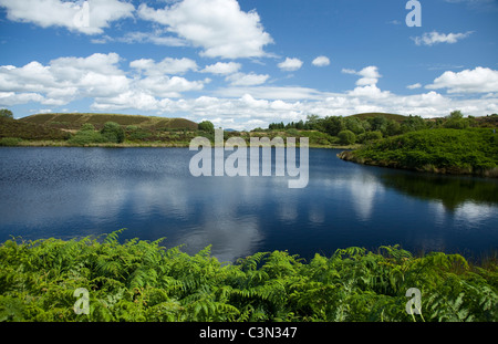 Sommer am Gortin Seen, Sperrin Mountains im County Tyrone, Nordirland. Stockfoto