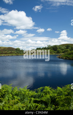 Sommer am Gortin Seen, Sperrin Mountains im County Tyrone, Nordirland. Stockfoto