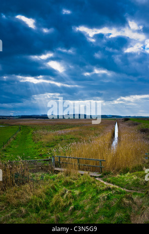 Die Sümpfe und eine Drainage Graben hinter dem Meer an der Nordküste Norfolk mit Strahlen der Sonne in der Ferne Stockfoto