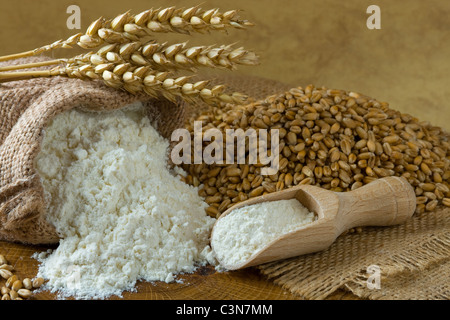 Weizen-Getreide und Mehl in kleinen Jute-Tasche Stockfoto